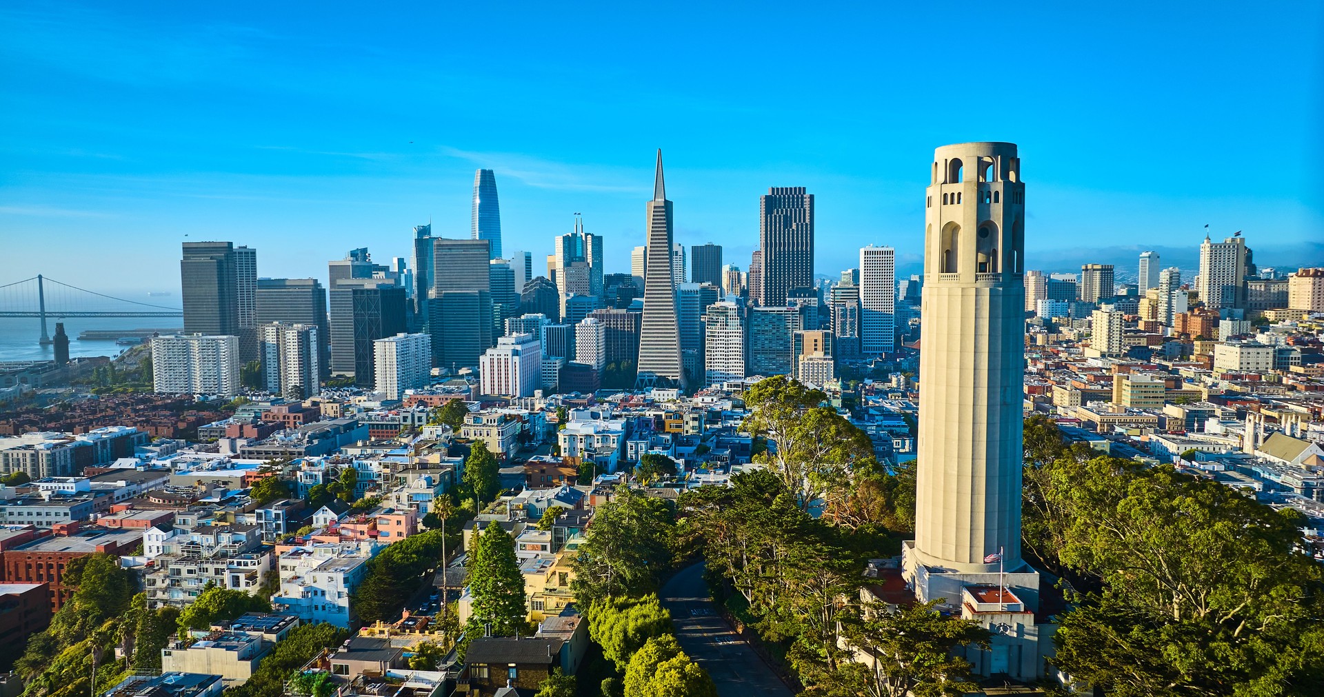 Aerial Coit Tower in late afternoon with downtown San Francisco skyscrapers and distant bridge